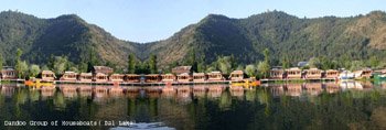 Kashmir