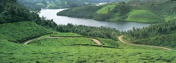 kerala
