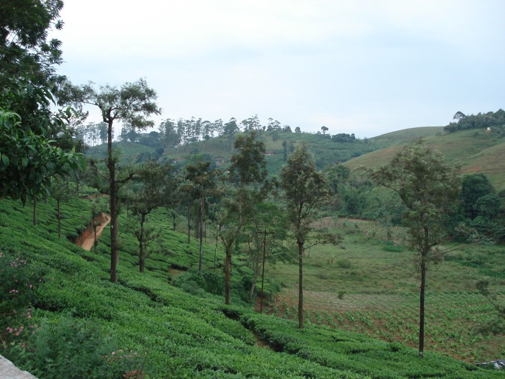 DSC01878