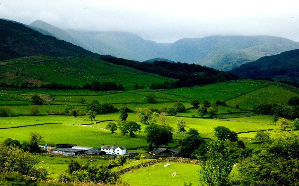 Ziro Valley