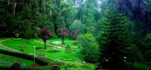 Top Places to Visit in Ooty