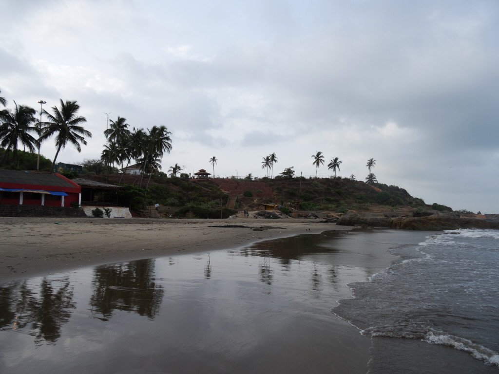 DSC00806