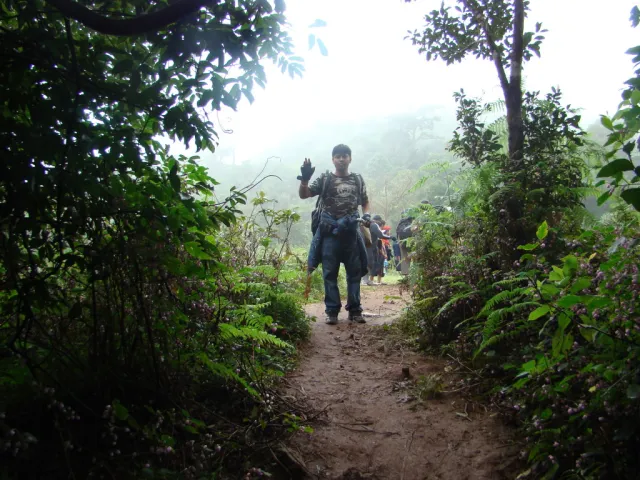 Top Hill Stations in Karnataka