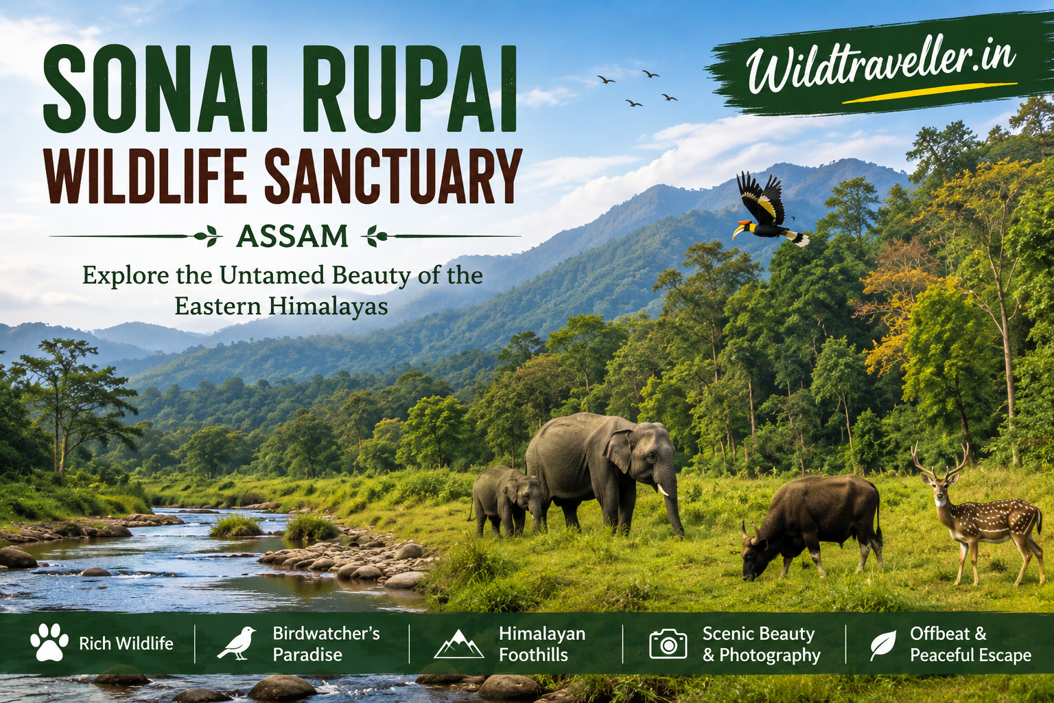 Sonai Rupai Wildlife Sanctuary, Assam: Discover the Untamed Beauty of the Eastern Himalayas